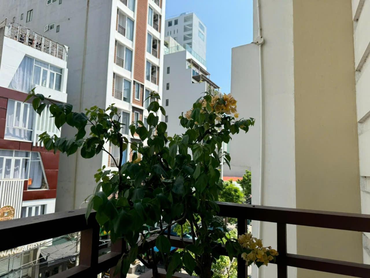 Thanh Hien Hb Hotel Дананг Екстериор снимка
